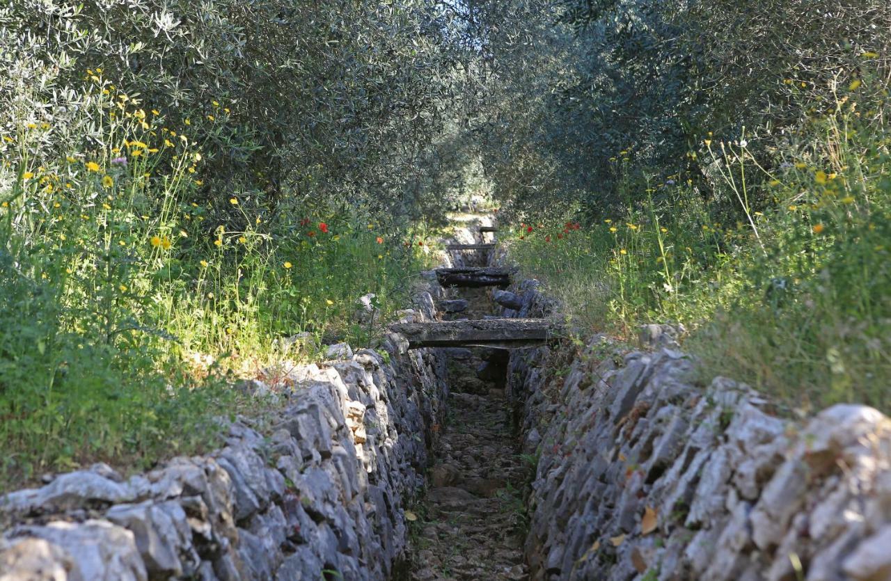 Pensjonat Casale Madeccia Sonnino Zewnętrze zdjęcie